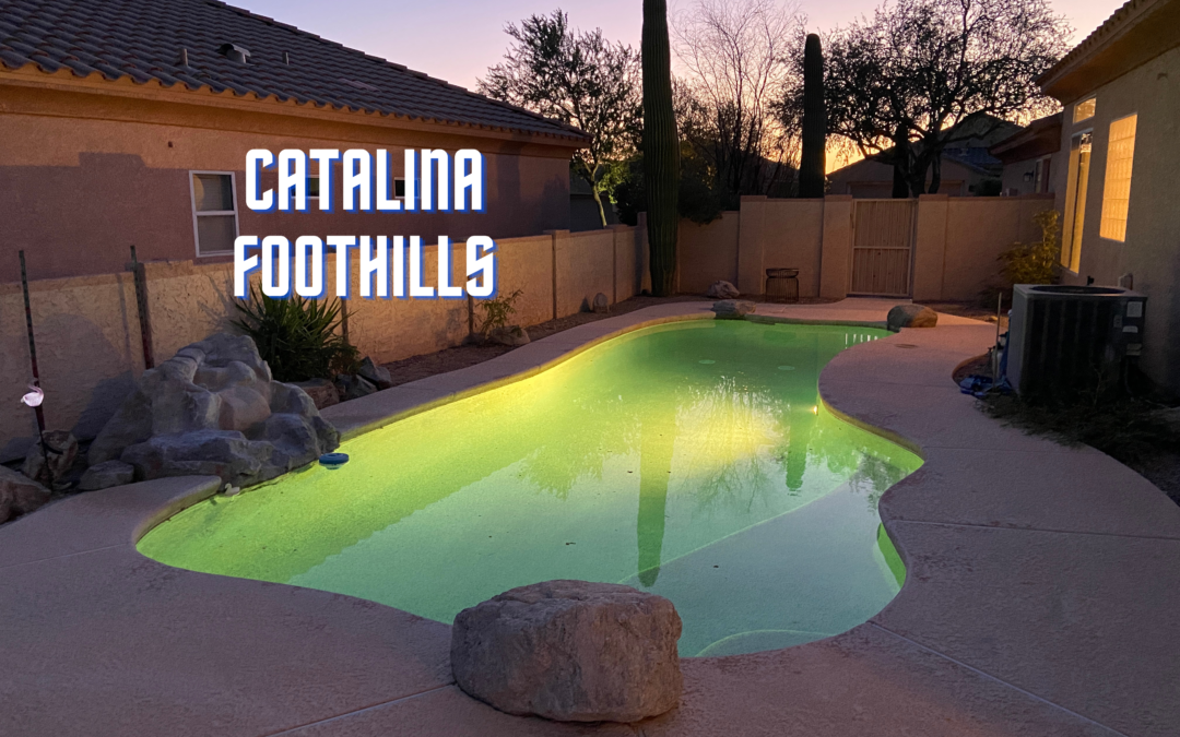 Common Problems in Catalina Foothills Probate Cases and How to Solve Them