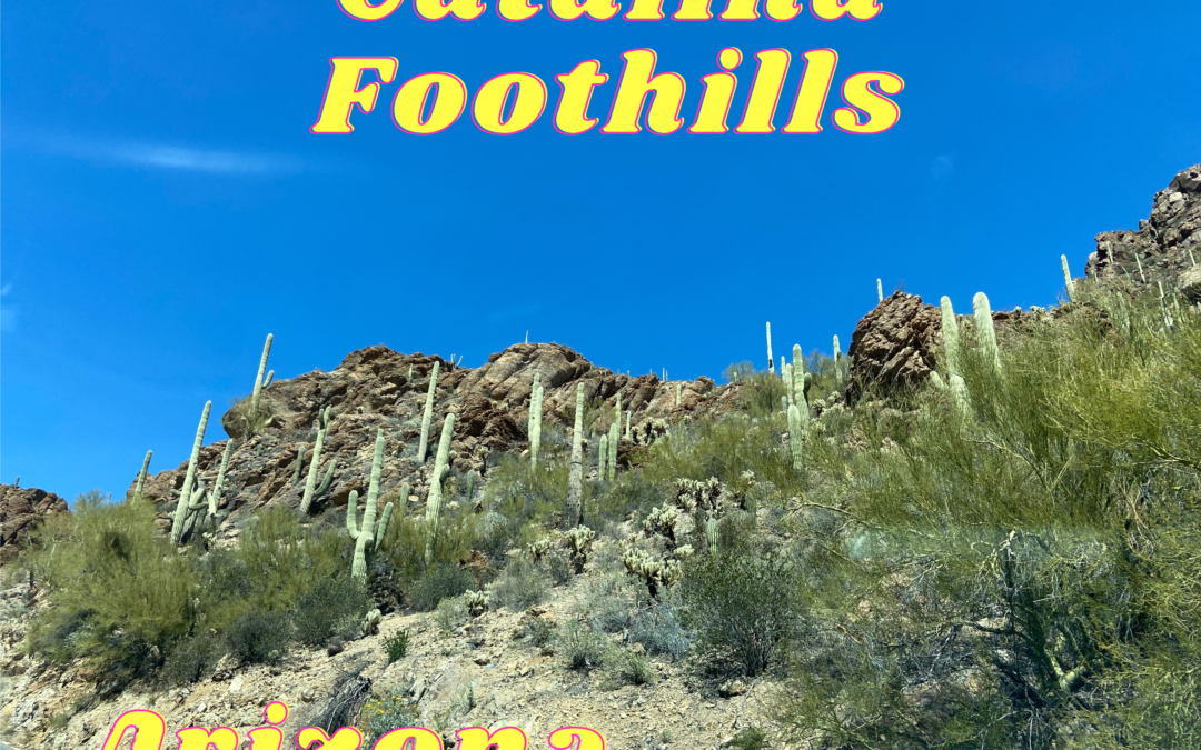 A Comprehensive Guide to Buying Probate Property in Catalina Foothills