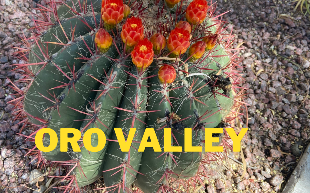 Probate Sales in Oro Valley AZ